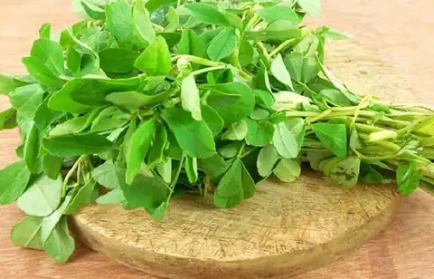 شنبلیله برای ریزش موی هورمونی