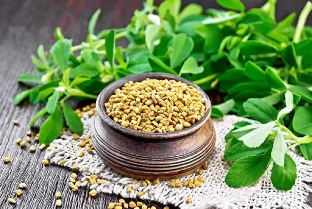 شنبلیله برای ریزش موی هورمونی
