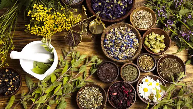 درمان ریزش موی سکه‌ای در طب سنتی