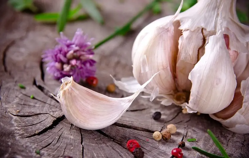 درمان ریزش موی سکه‌ای با سیر