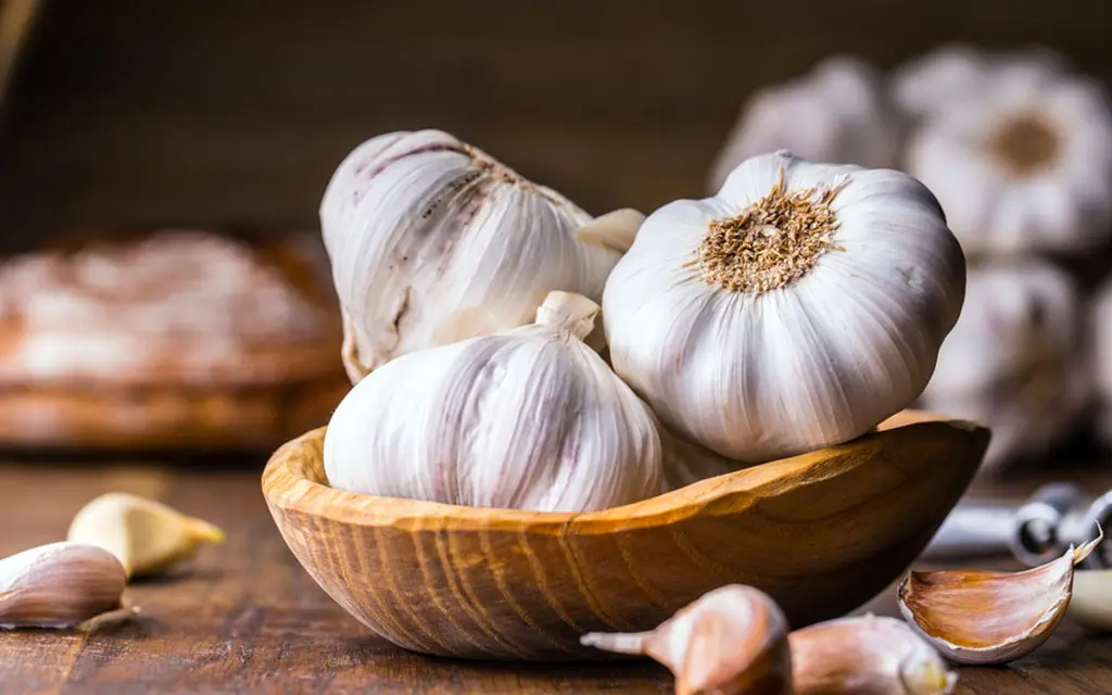درمان ریزش موی سکه‌ای با سیر