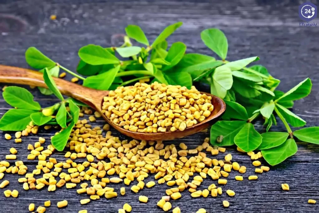 شنبلیله برای ریزش موی هورمونی